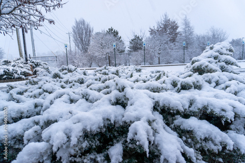 Fist Snow in NWA 2024