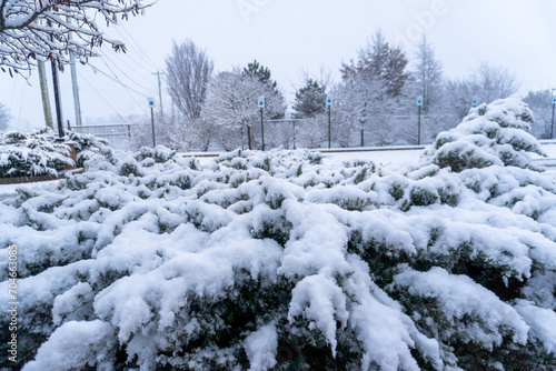 Fist Snow in NWA 2024