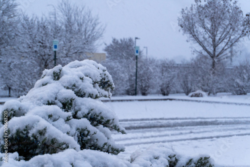 Fist Snow in NWA 2024