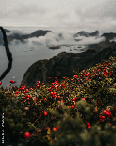 Berg auf Lofoten, Norwegen
