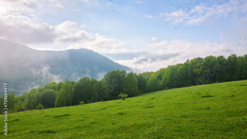 mountainous rural landscape of ukraine with grassy meadow on a misty morning in summer. green carpathian countryside scenery with forest behind the pasture on a hill. fog in the distant valley © Pellinni