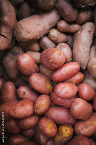 Top view of a bunch of raw sweet potatoes in a fruit store in Chile