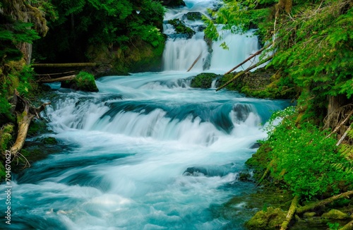 waterfall in the forest