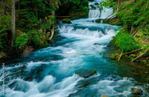 waterfall in the forest