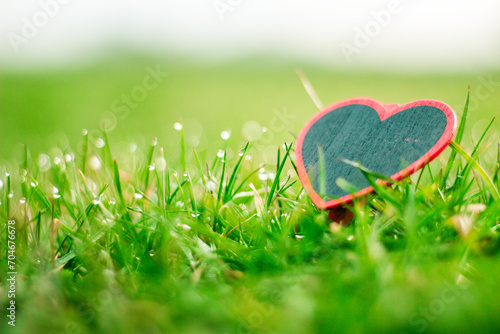 Spring grass with bokeh and heart figure