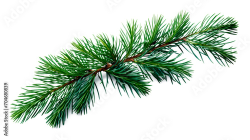 Fir branchlet isolated on transparent background. PNG © Yana