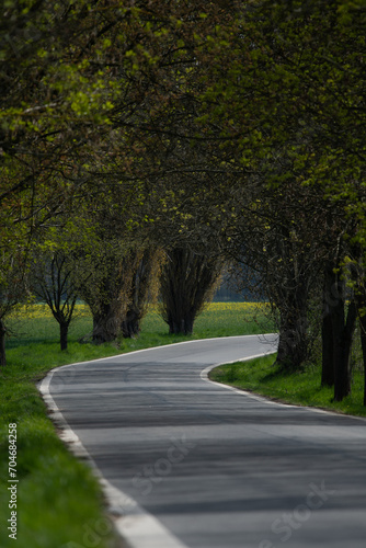 Wallpaper Mural Country side among tree line Torontodigital.ca