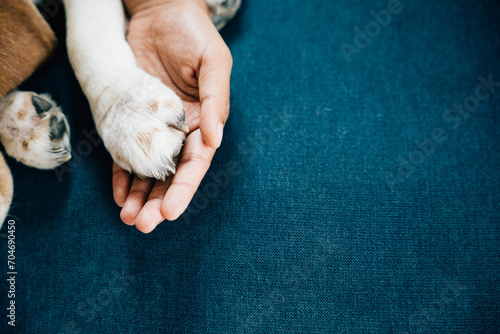 Heartwarming of togetherness and support, a woman hand gently holds a dog paw, symbolizing deep trust, loyalty and friendship that define unique bond between humans and their canine companions.