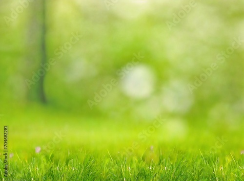 Beautiful blurred green nature background with green meadow in foreground, idyllic area for recreation, fresh springtime or summertime concept with copy space