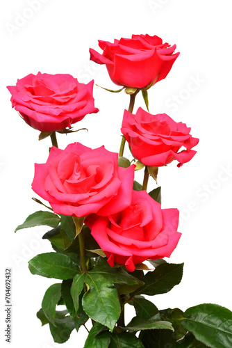 Bouquet of pink roses isolated on white background © Flower Studio