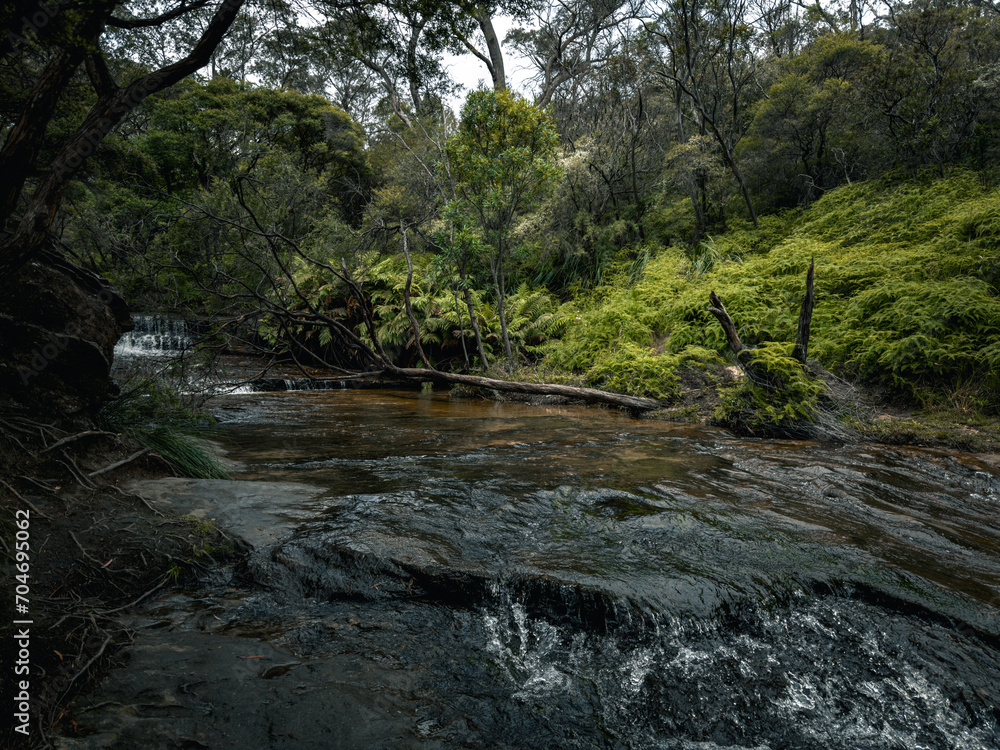 Naklejka premium The serene Blue Mountains and Majestic Waterfalls. Nature's Symphony. NSW. Australia. Wentworth Falls. Minnehaha falls. Three sisters.