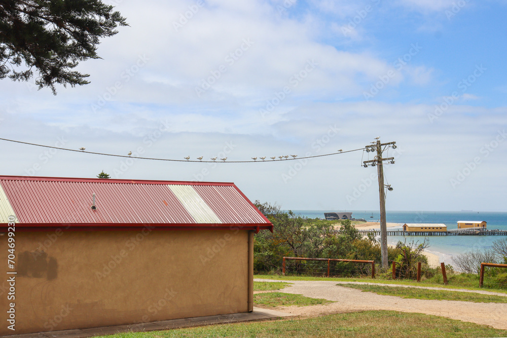 seaside landscape at beach tourism town of Queenscliff with view of coastline