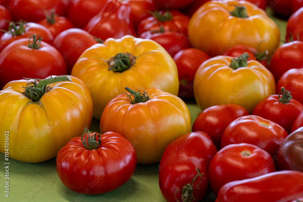 A display of various fresh tomatoes harvested for sale at a grocery. The produce is vibrant yellow, red, and orange color with a firm and shiny skin. The ripe crops are of various sizes and shapes. A display of various fresh tomatoes harvested for sale at a grocery. The produce is vibrant yellow, red, and orange color with a firm and shiny skin. The ripe crops are of various sizes and shapes.