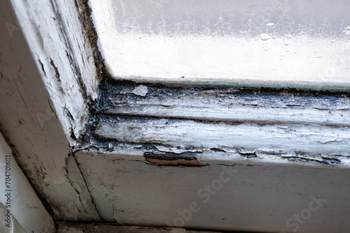Close up of black mould on the interior of a white sash window with chipped paint and old rotting wooden frame