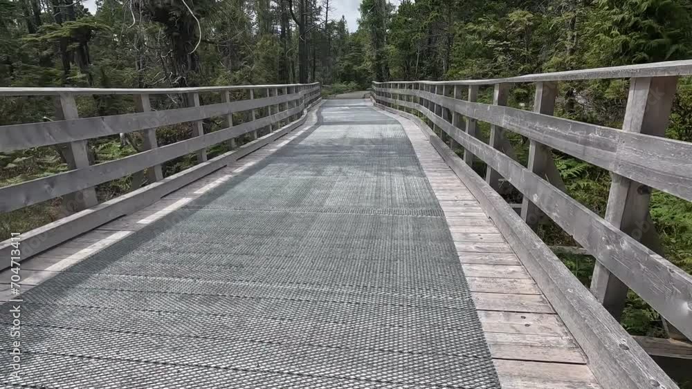 Narrow cycle path leads through pristine forests, Tofino, Ucluelet, Vancouver Island, British Columbia, Canada, North America Narrow cycle path leads through pristine forests, Tofino, Ucluelet, Vancouver Island, British Columbia, Canada, North America