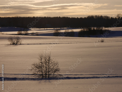 Scenic view of snow covered field during evening