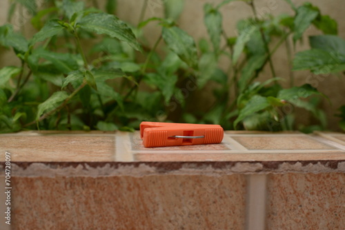 Prendedor laranja no quintal do lado de plantas, prendedor de roupa pequeno laranja photo