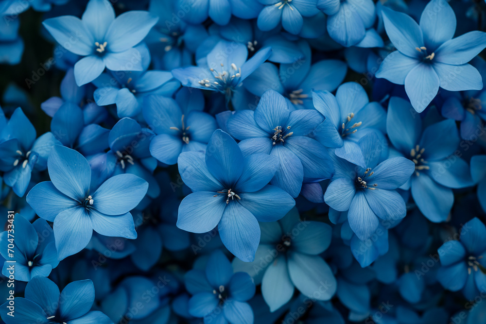 A Captivating Display of Blue Flowers Blooming, Creating a Floral
