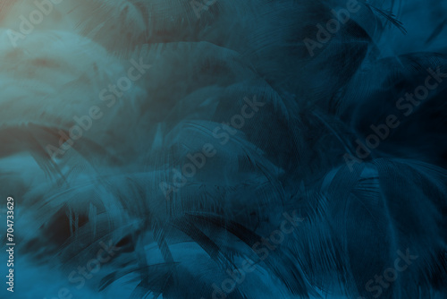 blue black feather abstract texture pattern background