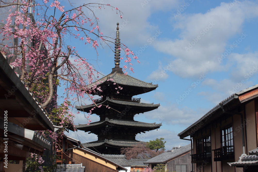 Fototapeta premium 京都 春の八坂の塔