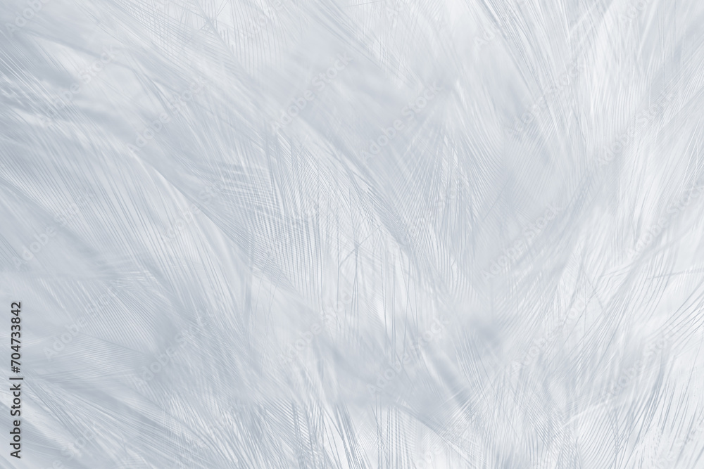 Obraz premium Gray white feather wooly pattern texture background