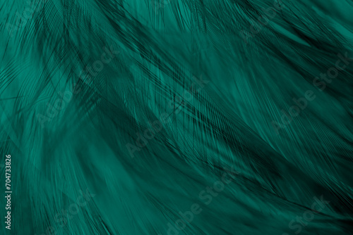 Fototapeta Naklejka Na Ścianę i Meble -  Beautiful dark green viridian vintage color trends feather texture background