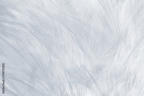 Gray white feather wooly pattern texture background photo
