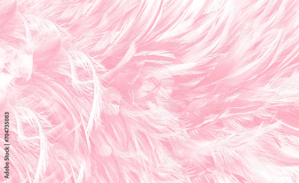 Beautiful soft pink feather pattern texture background Beautiful soft pink feather pattern texture background