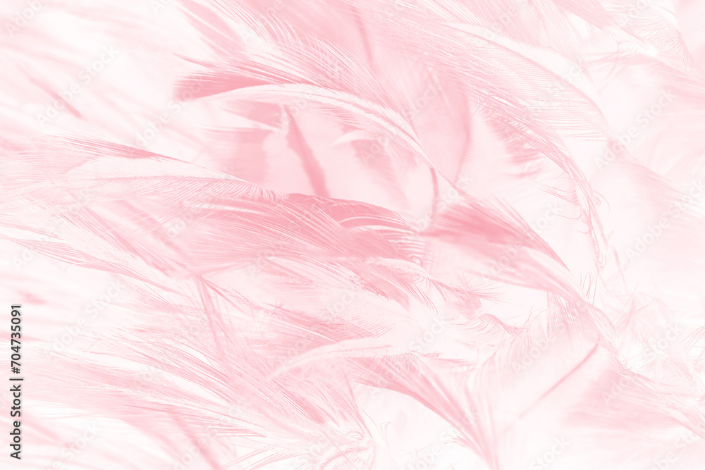 Beautiful soft pink feather pattern texture background Beautiful soft pink feather pattern texture background