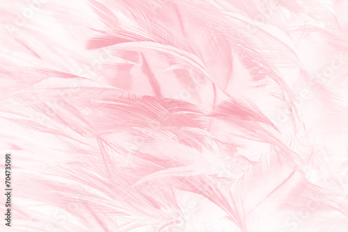  Beautiful soft pink feather pattern texture background