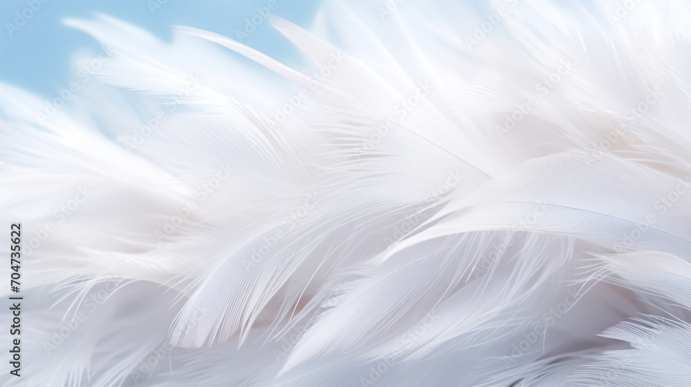 Close-up of soft white feathers creating a delicate and light texture, perfect for gentle backgrounds. Close-up of soft white feathers creating a delicate and light texture, perfect for gentle backgrounds.