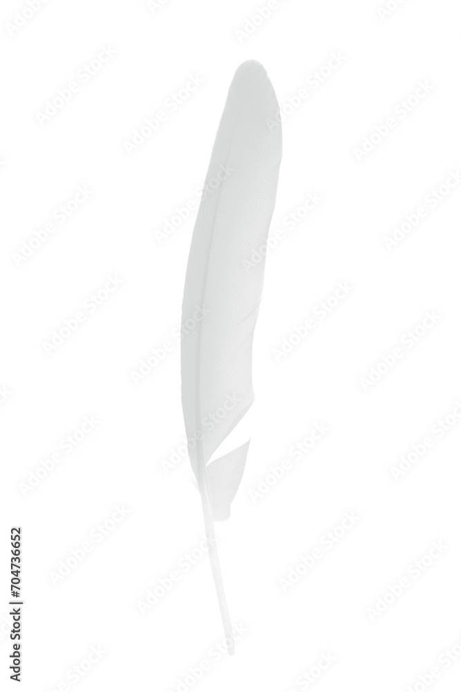 Beautiful sketching white feather isolated on white background Beautiful sketching white feather isolated on white background