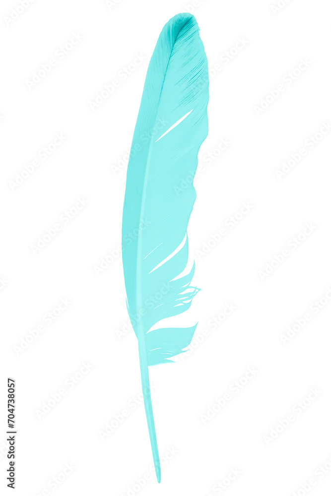 Beautiful feather color green turquoise isolated on white background Beautiful feather color green turquoise isolated on white background