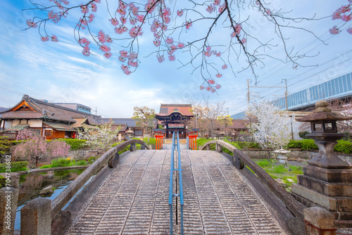 Rokusonno shrine built in 963, enshrines MInamota no Tsunemoto the 6th grandson of Emperor Seiwa. It's one of the best cherryblossom viewing spots in Kyoto
 photo