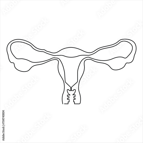 Female reproductive uterus of continuous single line art drawing and woman day one outline vector art illustration