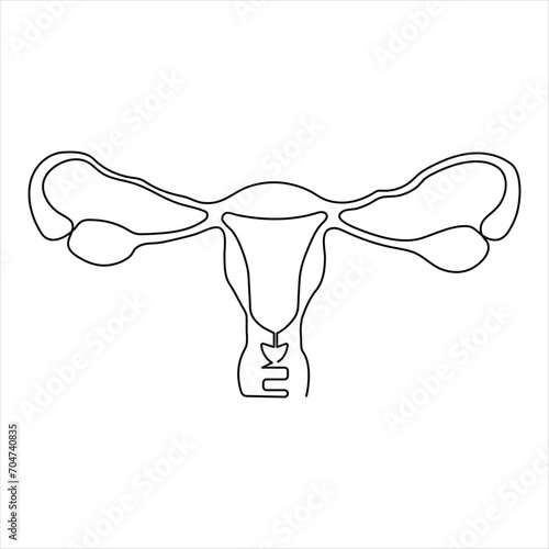Female reproductive uterus of continuous single line art drawing and woman day one outline vector art illustration