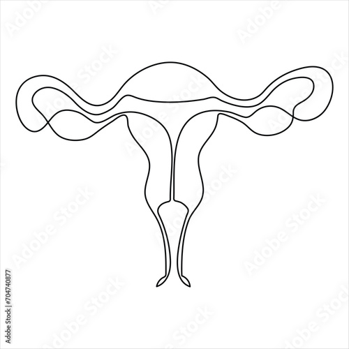 Female reproductive uterus of continuous single line art drawing and woman day one outline vector art illustration