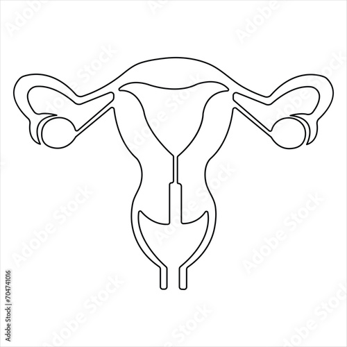 Female reproductive uterus of continuous single line art drawing and woman day one outline vector art illustration