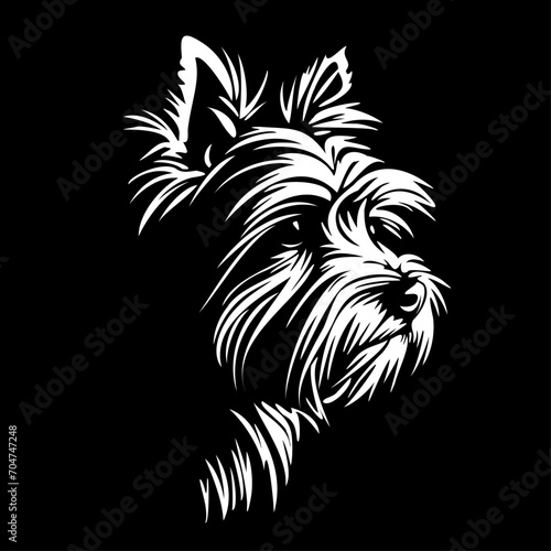 Yorkshire Terrier black and white dog, cutout