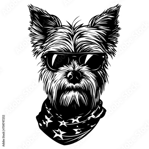 Yorkshire Terrier black and white dog, cutout