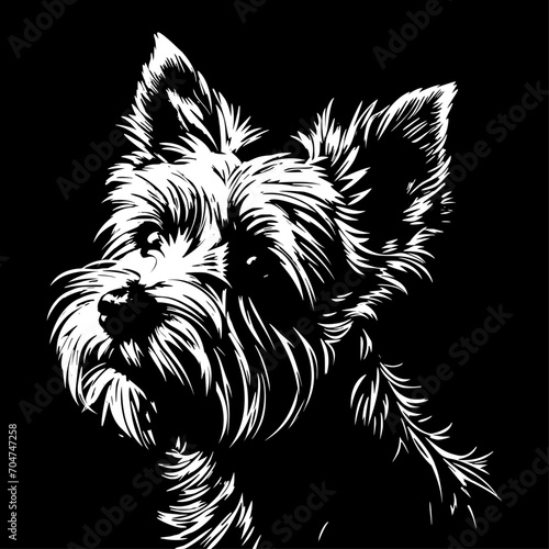 Yorkshire Terrier black and white dog, cutout