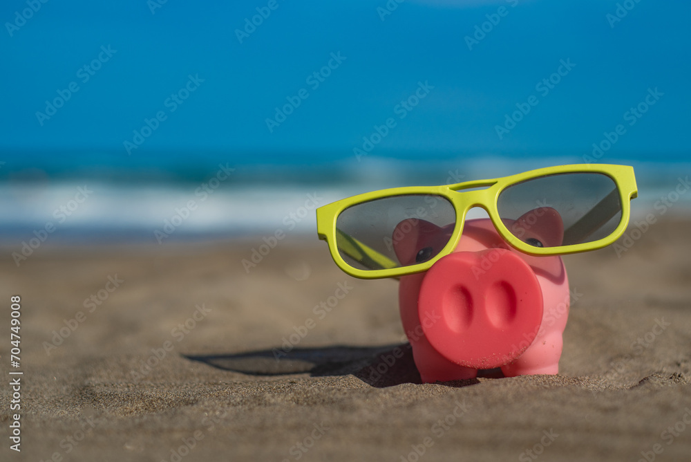 cute little pig on the beach saving for vacations