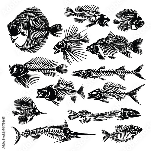 diverse fish skull vector illustration