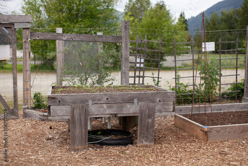 Fotografi A standing, elevated raised garden bed is perfect for a community garden to be able to garden from seated, or use a wheelchair to access their garden plot