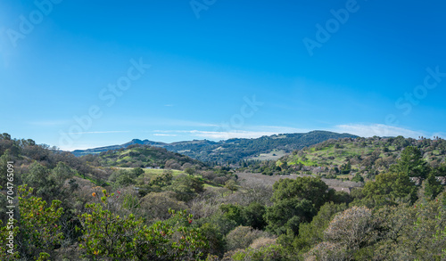 landscape with blue sky mountains and green valley trees © Raul