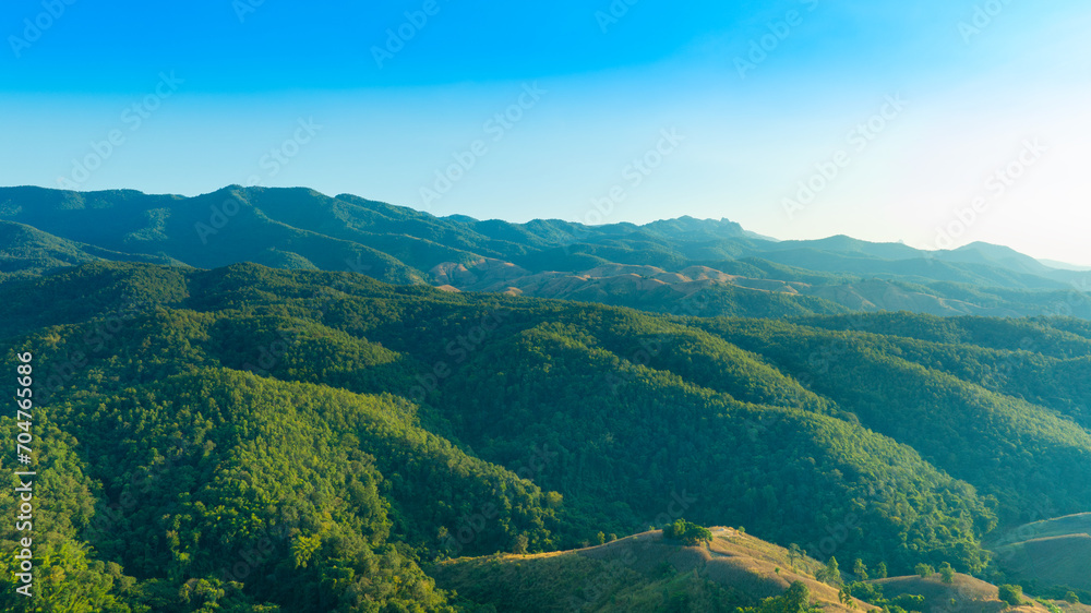 Aerial view of mountains and mixed forest. Green deciduous trees with mist clouds. The rich natural ecosystem of the rainforest concept is about conservation and natural reforestation.
