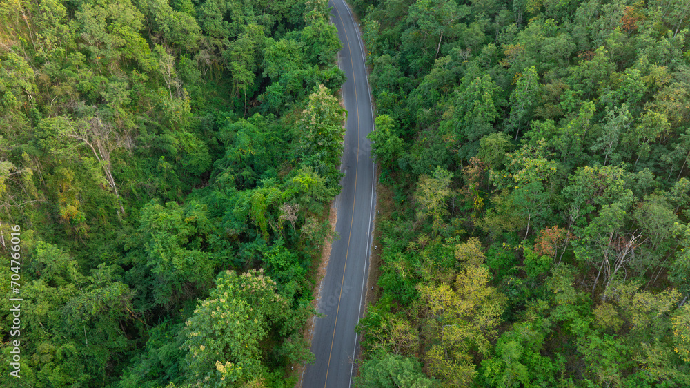 Obraz premium Aerial view of road dark green forest Natural landscape and elevated traffic roads Adventure travel and transportation ideas for the environment 