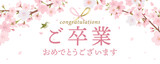 ご卒業お祝い 桜のメッセージカード