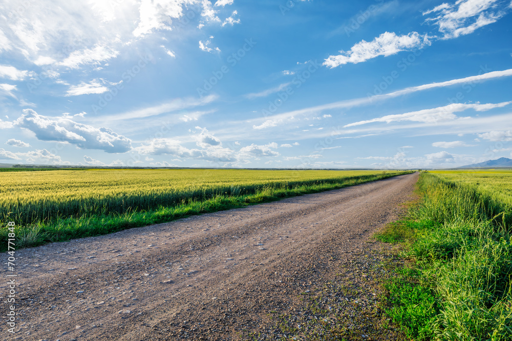 Country gravel road and green wheat fields with sky clouds natural landscape under blue sky Country gravel road and green wheat fields with sky clouds natural landscape under blue sky