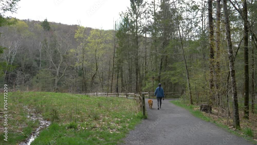 Healthy lifestyle Puerto Rican girl walking family dog in autumn woodland forest hiking trail Healthy lifestyle Puerto Rican girl walking family dog in autumn woodland forest hiking trail